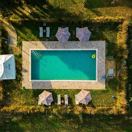 Agriturismo Anfora Della Vita Massa Marittima Luaran gambar
