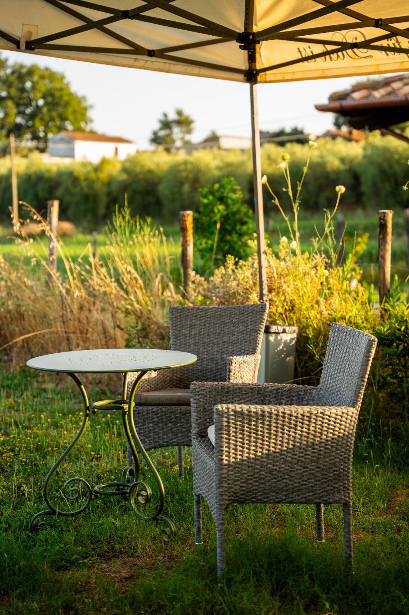 Agriturismo Anfora Della Vita Massa Marittima Luaran gambar