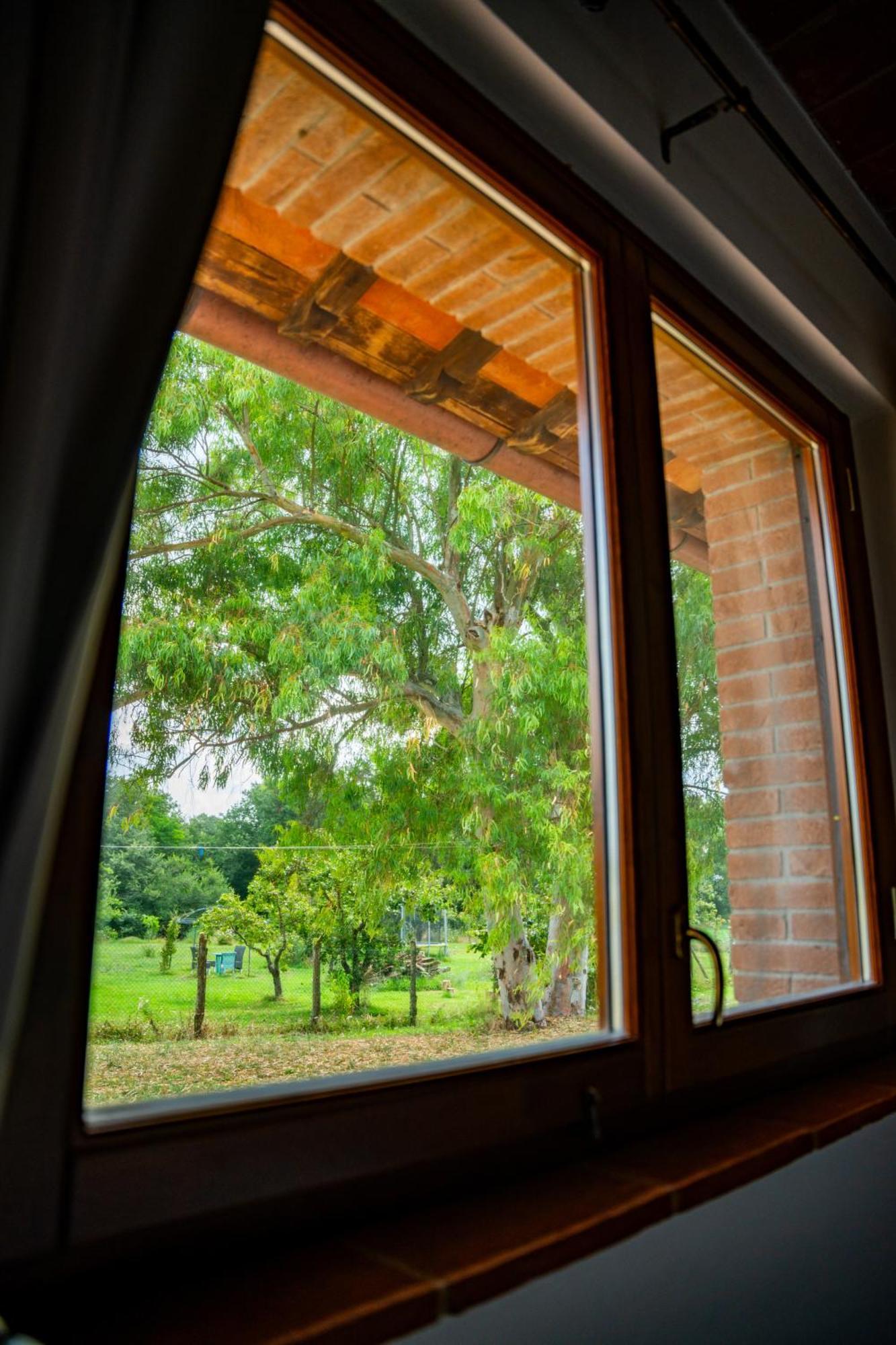 Agriturismo Anfora Della Vita Massa Marittima Luaran gambar
